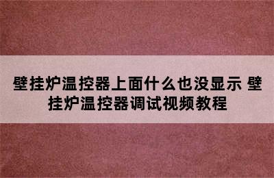 壁挂炉温控器上面什么也没显示 壁挂炉温控器调试视频教程